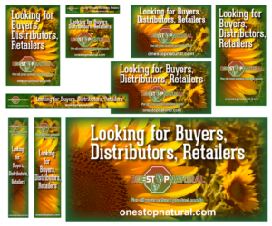 Banner Ad Design by iD_intelligentDesign for Visions of Health | Design: #7046795