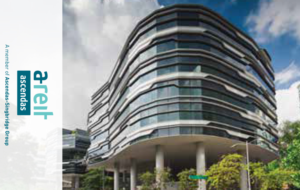 Karten-Design von Deathly248 für Auctionese | Design: #7084235