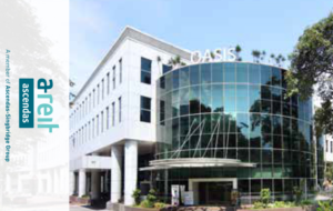 Karten-Design von Deathly248 für Auctionese | Design: #7084236