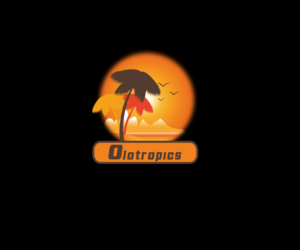 Logo Design by Xclusive Designer