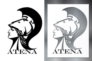Logo Design by Angler Designs