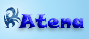 Logo Design by Swon