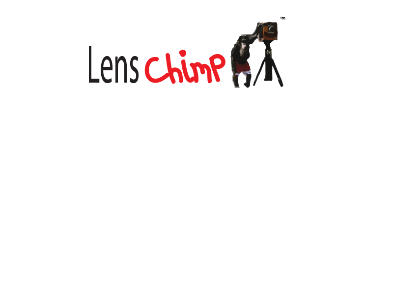 Diseño de Logo por R-Design para Intrahost, GoCloud & LensChimp | Diseño #1814672