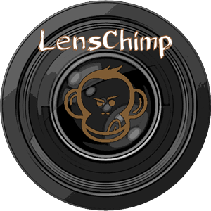 Logo Design by Colin Dodge