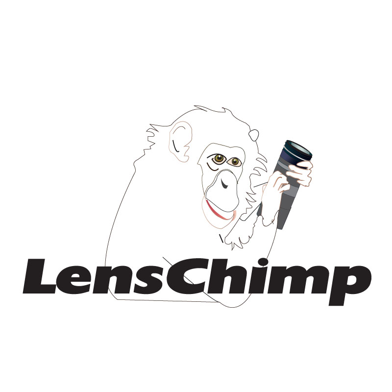 Logo Design by ktgrandy for Intrahost, GoCloud & LensChimp | Design #1821924