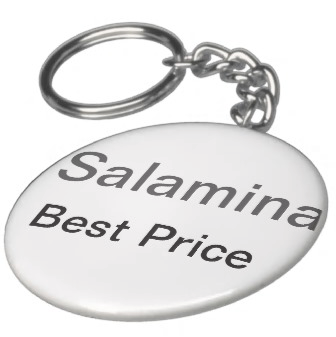 Logo Design by KHEIRA for salaminabestprice | Design #1832082