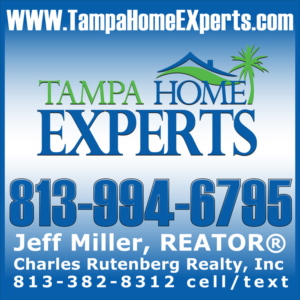 Logo Design by eddy for Tampa Home Experts | Design: #7052988