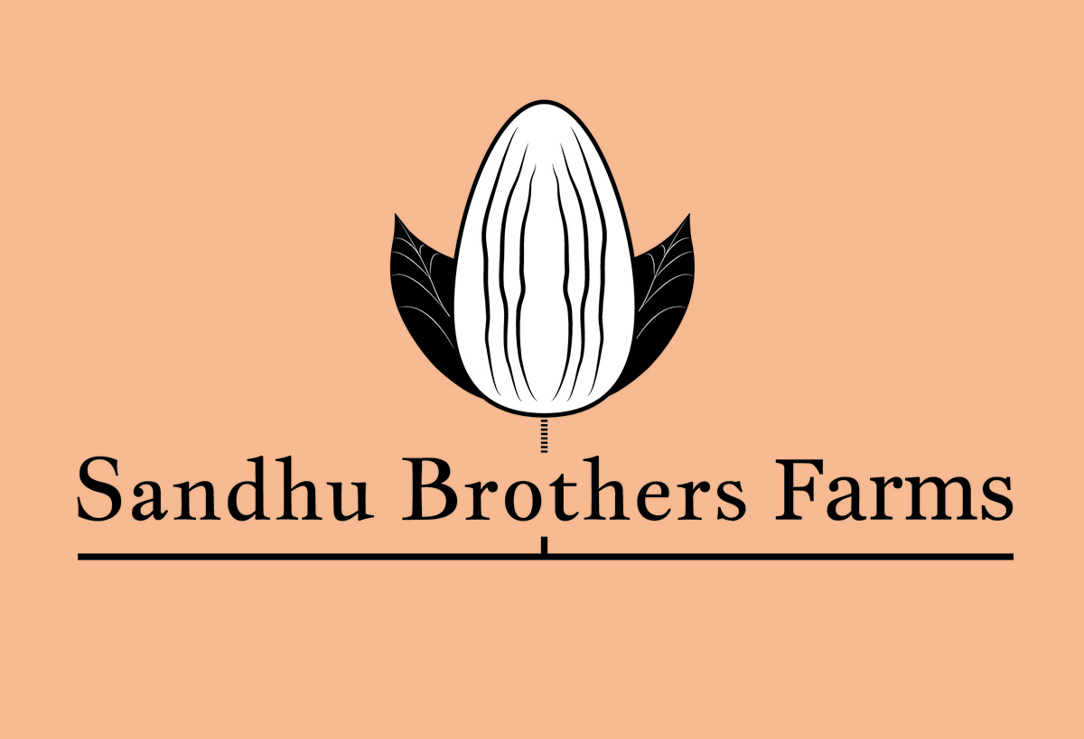 Logo-Design von Oddullstration für dieses Projekt | Design #1825345