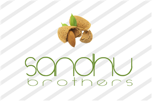 Logo Design by zainjay