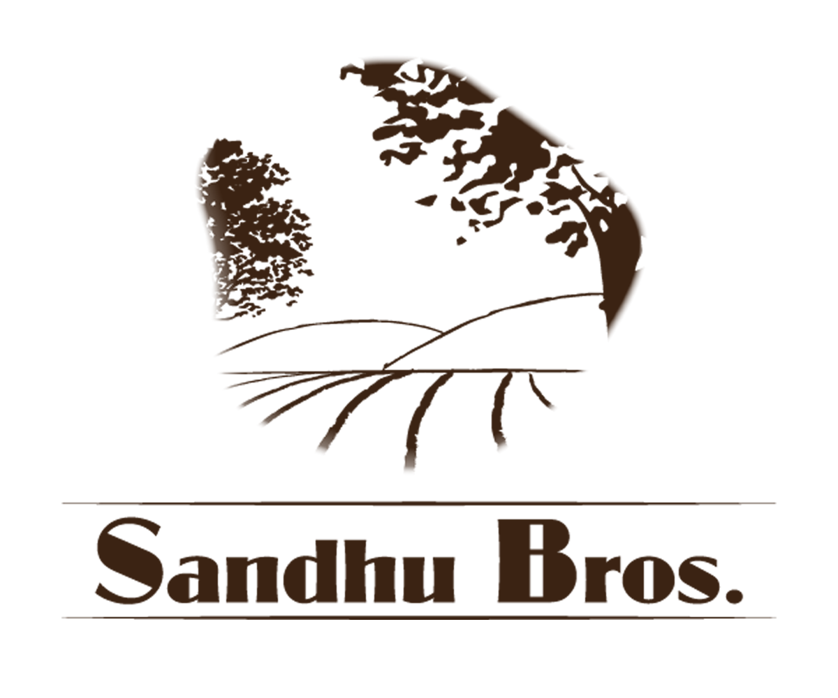 Logo Design by TM Kreatif for this project | Design #1839669