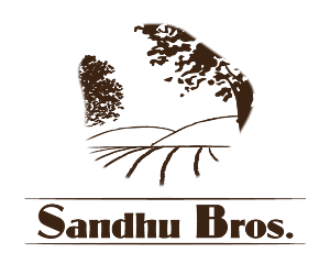 Logo Design by TM Kreatif for this project | Design: #1839669