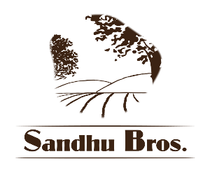Logo Design by TM Kreatif for this project | Design: #1839736