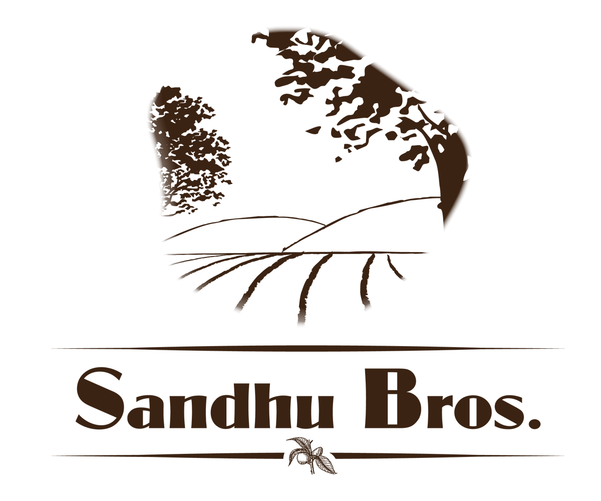 Logo Design by TM Kreatif for this project | Design #1839914