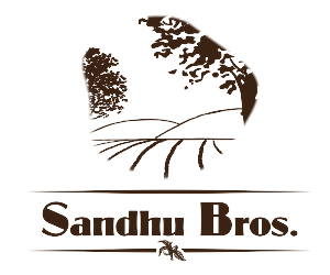 Logo Design by TM Kreatif for this project | Design: #1839914