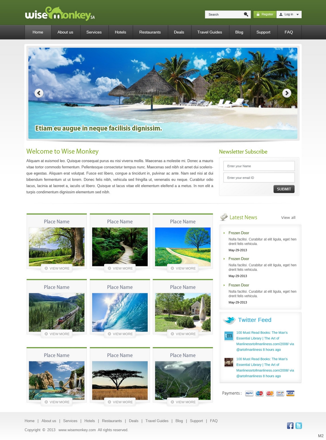 Diseño Web por pb para Wise Monkey SA | Diseño #1870094