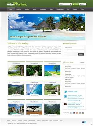 Diseño Web por pb para Wise Monkey SA | Diseño: #1870094