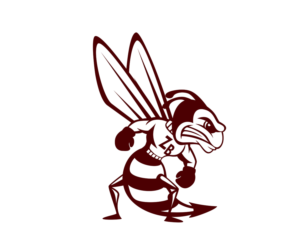 Graphic Design by DZenhar Studio for Jr. Zee-Bees Girls Basketball | Design: #7091652