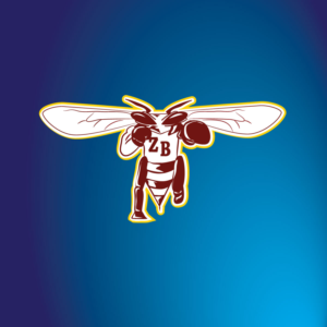 Graphic Design by milan1981 for Jr. Zee-Bees Girls Basketball | Design: #7095152