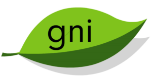 Logo Design by website engineer