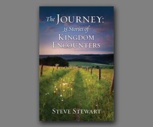 Book Cover Design by copt for this project | Design #7091742