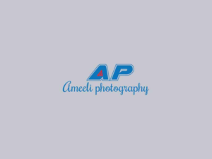 Logo Design by TheTigerDesign