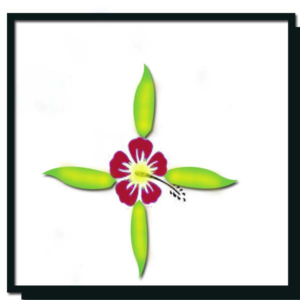 Design de Logo par devamadhesh pour Advnaced CosmoMedical & Equibment Limited Company | Design : #7175063