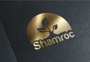 Logo Design by LionStudioz for this project | Design: #7061965