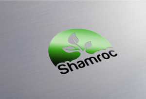 Logo Design by LionStudioz for this project | Design: #7061986