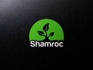 Logo Design by LionStudioz