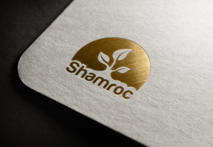 Logo Design by LionStudioz for this project | Design: #7062034