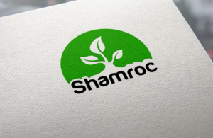 Logo Design by LionStudioz for this project | Design: #7062057
