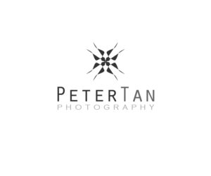 Logo Design by Joe McCluskey