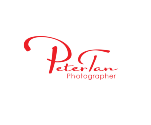 Logo Design by autumnstears