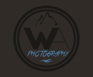 Logo Design by dushan.m.135
