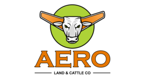 Logo Design by Aurie