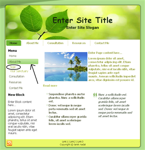 Web Design by tarek_cs for this project | Design: #2066158