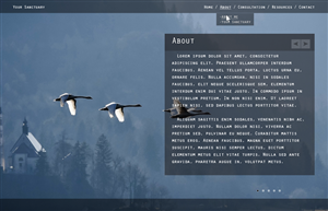 Web Design by JM for this project | Design: #2154097