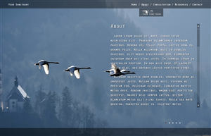 Web Design by JM for this project | Design: #2172864
