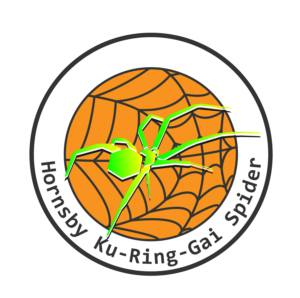 Logo Design by guy398