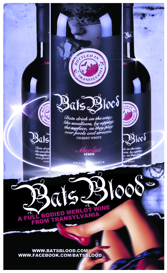 Poster Design by diRtY.EMM for this project | Design #374867