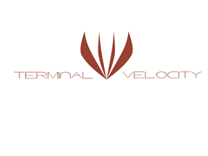 Logo Design by Eric Graziano for Terminal Velocity | Design: #2035846