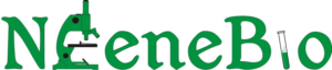 Logo Design by cybermannn for this project | Design #7085168