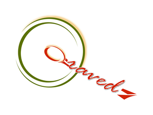 Logo Design by Ravi shankar
