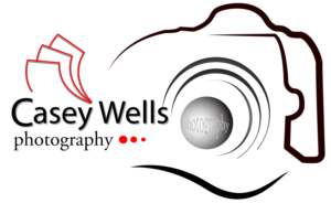 Logo Design by manojmaduranga42 for this project | Design: #7175056