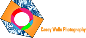 Logo Design by samansanam792