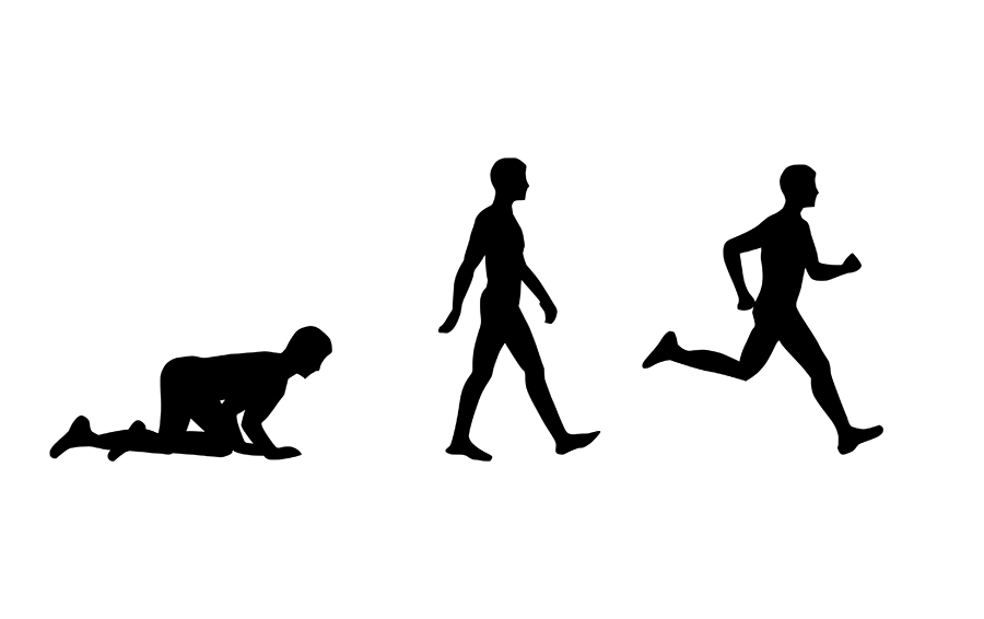 Illustration Design by Cecelia for this project | Design: #1819386