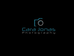 Logo Design by LionStudioz for this project | Design: #7128604