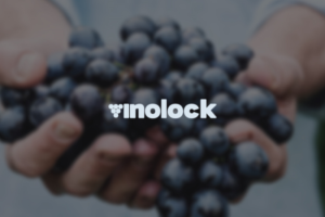 Logo Design by Vortex for this project | Design #7100687