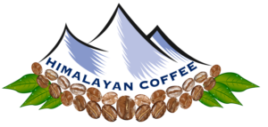 Logo Design by Roksana Skura / PIEL Design