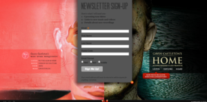 Web Design by Aliowais
